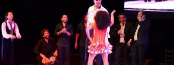 [ID: QC92FCYo3qY] Youtube Automatic