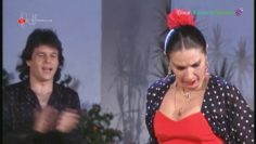 [ID: qD0fiBDPW6U] Youtube Automatic