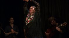 [ID: QdEEVZqs470] Youtube Automatic