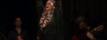 [ID: QdEEVZqs470] Youtube Automatic