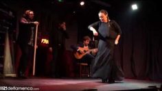 [ID: qecLLXI8eQg] Youtube Automatic