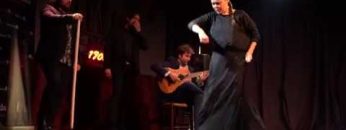 [ID: qecLLXI8eQg] Youtube Automatic