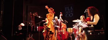 [ID: QFAbqZPhZIE] Youtube Automatic