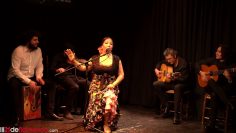 [ID: QFPXX61Ea8w] Youtube Automatic