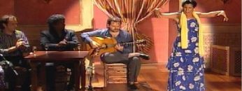 [ID: QH-oOcH5U84] Youtube Automatic