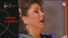 [ID: QLHfI5DnLU4] Youtube Automatic