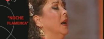 [ID: QLHfI5DnLU4] Youtube Automatic