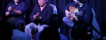 [ID: QpV2u41Hmss] Youtube Automatic