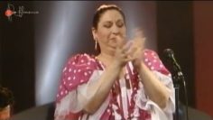 [ID: QSM-uDZfg-k] Youtube Automatic