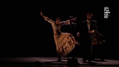 [ID: qVigZ2II-As] Youtube Automatic