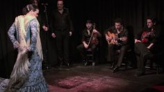 [ID: QyS00eXpYEQ] Youtube Automatic