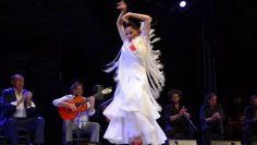 [ID: R39e6ETgEf4] Youtube Automatic