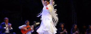 [ID: R39e6ETgEf4] Youtube Automatic