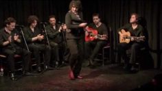 [ID: R3EkpDtm-JM] Youtube Automatic