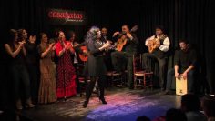 [ID: r6kLdRFNK7A] Youtube Automatic