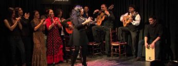 [ID: r6kLdRFNK7A] Youtube Automatic