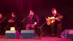 [ID: R8pdAXpbbHs] Youtube Automatic