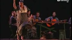 [ID: rbb7kJhXvbg] Youtube Automatic