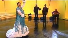 [ID: RC6aAd8be5g] Youtube Automatic