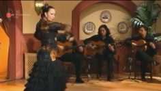 [ID: rCSPbsN_Qgs] Youtube Automatic