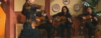 [ID: rCSPbsN_Qgs] Youtube Automatic