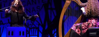 [ID: REej_Edp-xU] Youtube Automatic