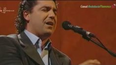 [ID: RFSoAHhkNEM] Youtube Automatic