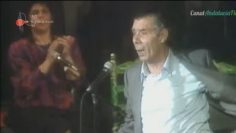 [ID: RfypNtqNbNM] Youtube Automatic