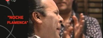 [ID: rgbRCUB0cQg] Youtube Automatic