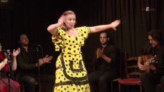 [ID: RiHPS9vFL2I] Youtube Automatic