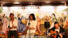 [ID: RJaS2XSUu2Q] Youtube Automatic