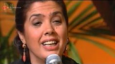 [ID: rJxxzuA4MwQ] Youtube Automatic