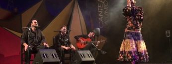 [ID: rlMYG61JKIE] Youtube Automatic