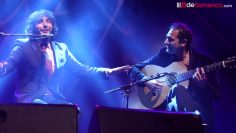 [ID: rMiksddF_u4] Youtube Automatic