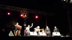 [ID: rMJjqgv8WBs] Youtube Automatic