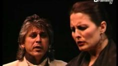 [ID: rnS7LNkT7E4] Youtube Automatic