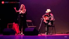 [ID: roKs3wU2daI] Youtube Automatic