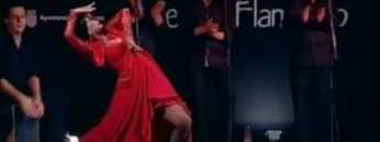 [ID: rrav_wLAnGA] Youtube Automatic