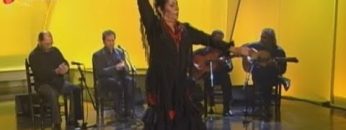 [ID: RVy3O8-hffk] Youtube Automatic