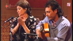 [ID: rx5P7DQ4J2s] Youtube Automatic