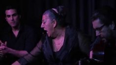 [ID: RXZ_f7VTiAM] Youtube Automatic