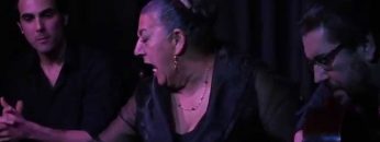 [ID: RXZ_f7VTiAM] Youtube Automatic