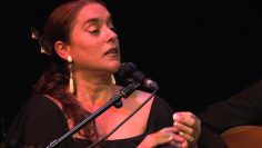 [ID: RZekkXgz1rw] Youtube Automatic