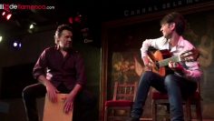 [ID: s3pYSw_ugEE] Youtube Automatic