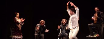 [ID: _s5-5UeoX1s] Youtube Automatic