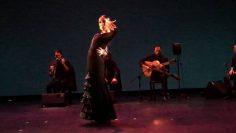 [ID: saeWPu0ZlpI] Youtube Automatic