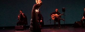 [ID: saeWPu0ZlpI] Youtube Automatic