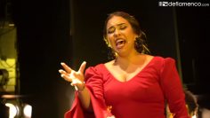 [ID: SAgvYh3421E] Youtube Automatic