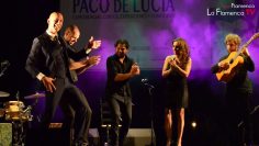 [ID: SB0kApGisQY] Youtube Automatic