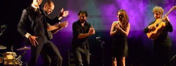 [ID: SB0kApGisQY] Youtube Automatic